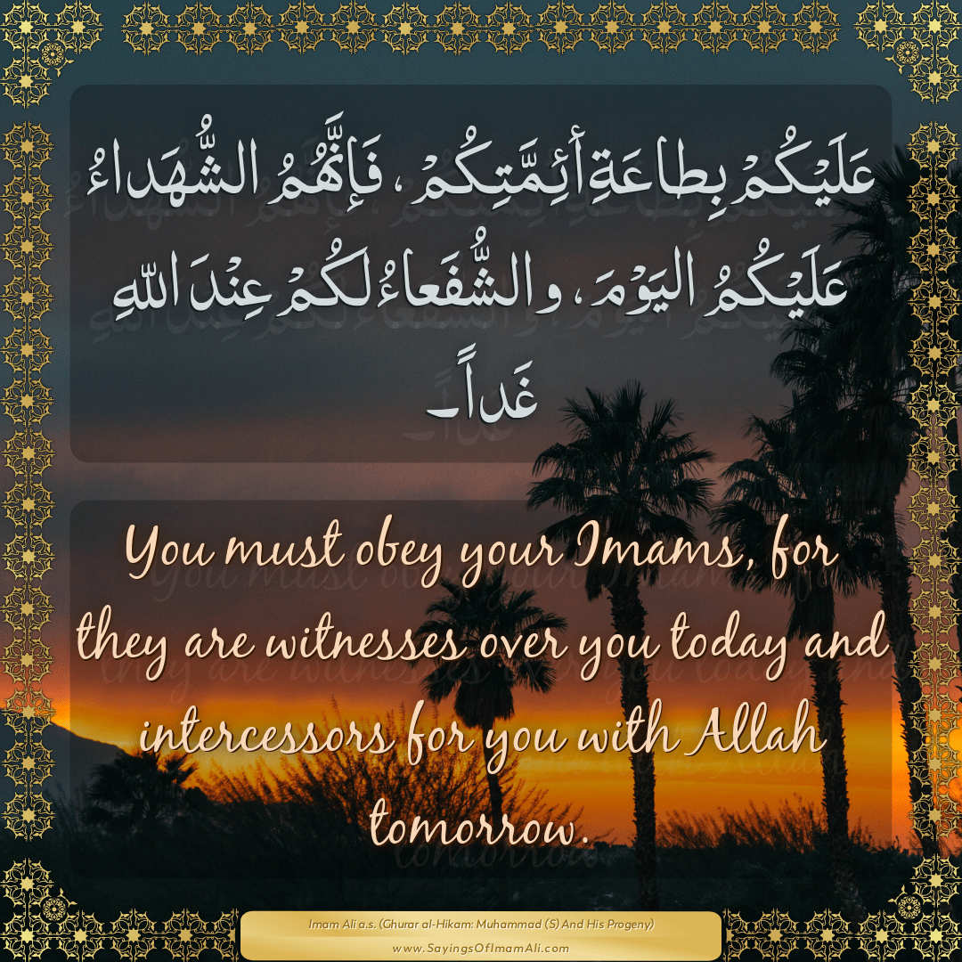 You must obey your Imams, for they are witnesses over you today and...